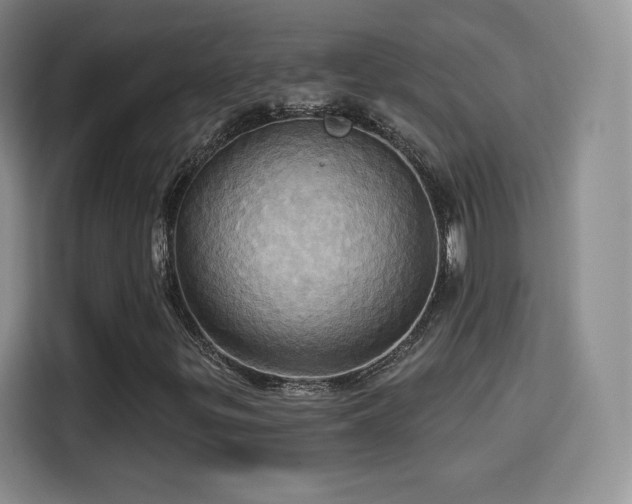 X0000114101299200910131314