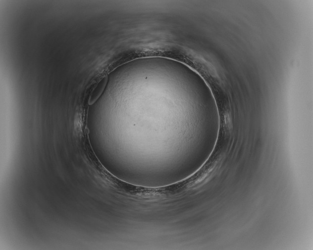 X0000114101300200910131314