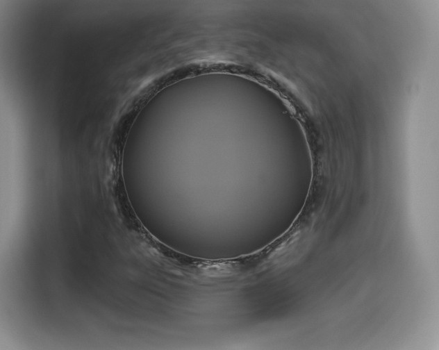 X0000114101303200910131314