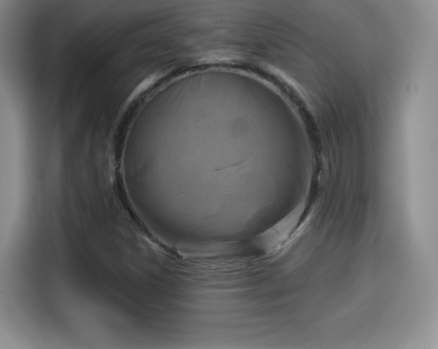 X0000114101306200910131314