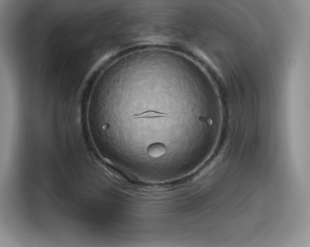 X0000114101307200910131314