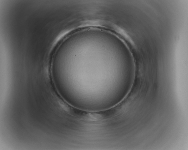 X0000114101312200910131314