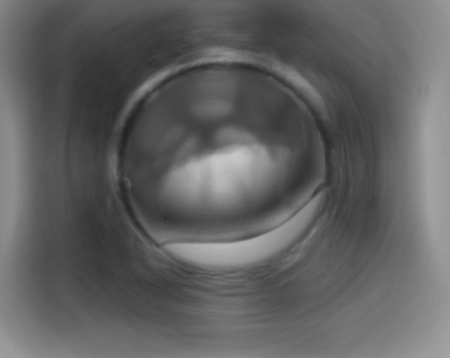 X0000114101318200910131314