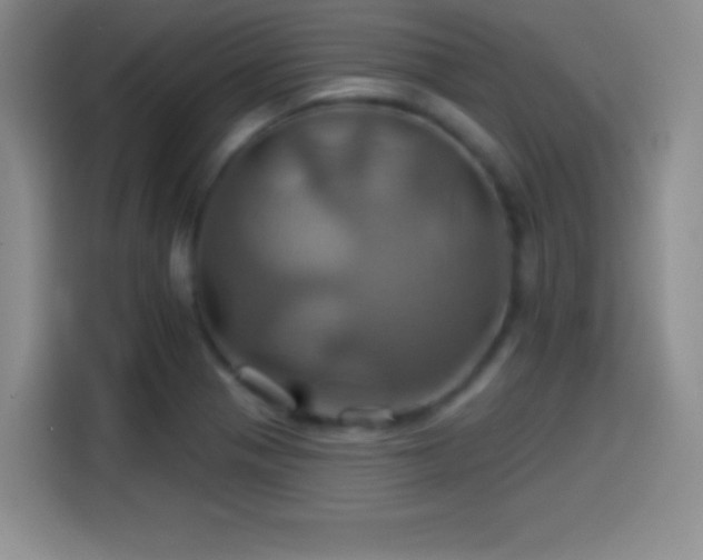 X0000114101321200910131314