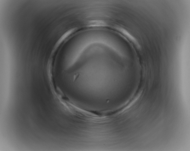 X0000114101325200910131314