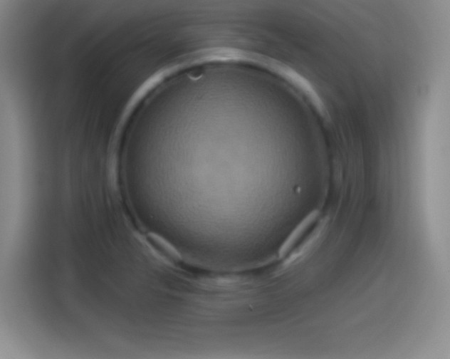 X0000114101326200910131314