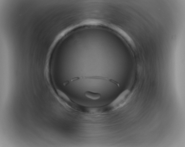 X0000114101327200910131314