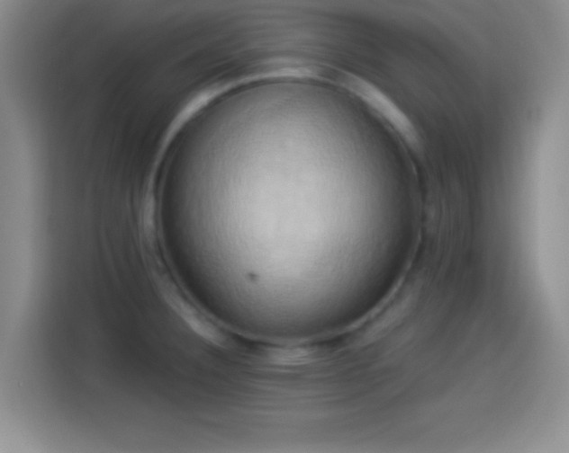 X0000114101332200910131314