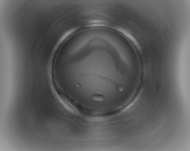 X0000114101333200910131314