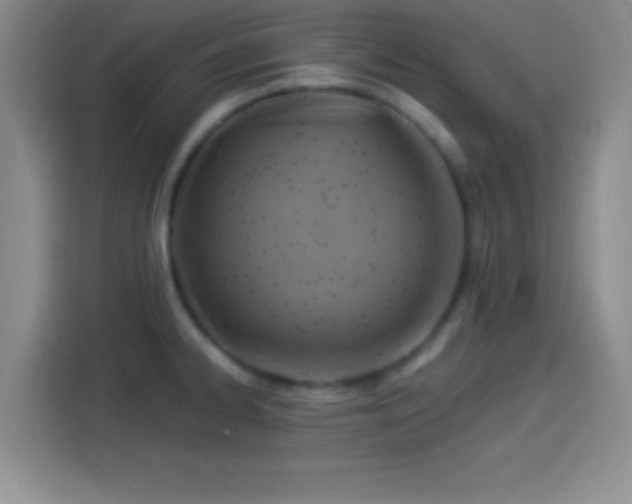 X0000114101334200910131314