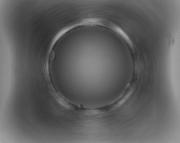 X0000114101336200910131314