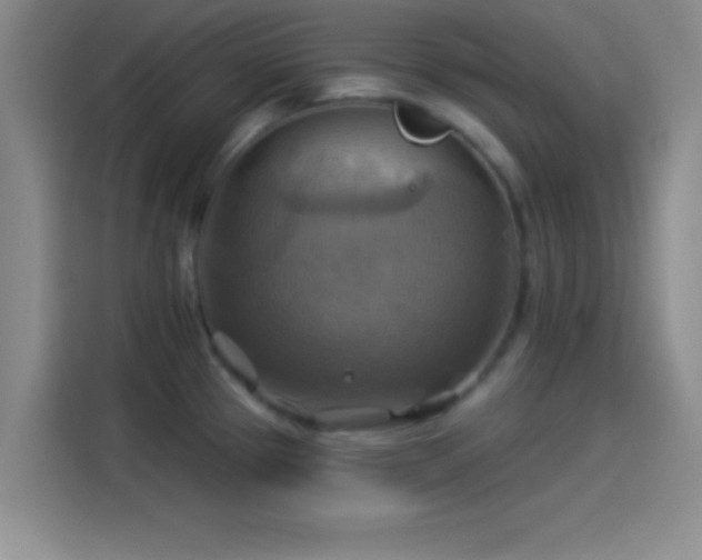 X0000114101337200910131314