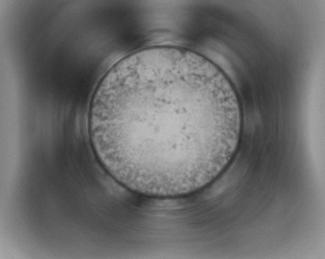 X0000114101338200910131314