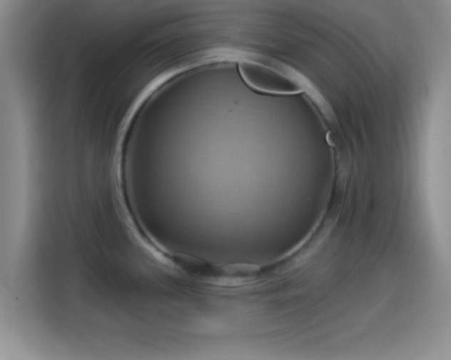 X0000114101339200910131314