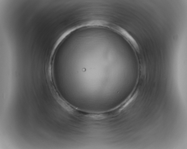 X0000114101340200910131314