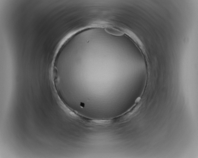 X0000114101344200910131314