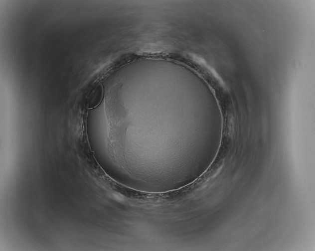 X0000114101350200910131314