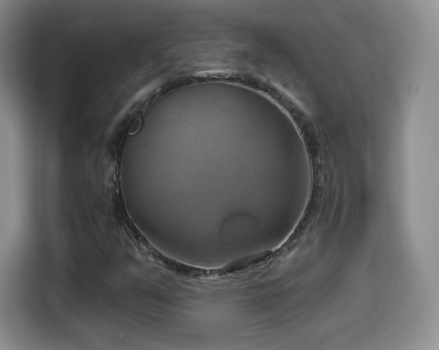 X0000114101351200910131314