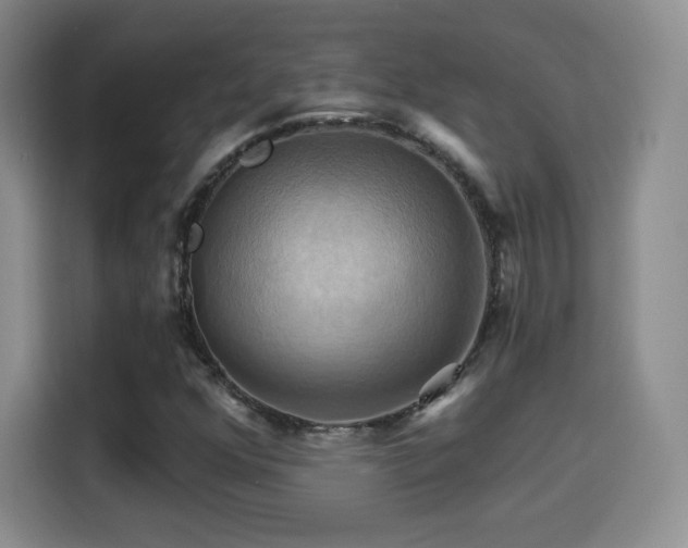 X0000114101352200910131314