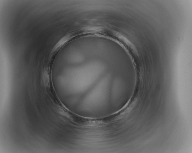 X0000114101354200910131314