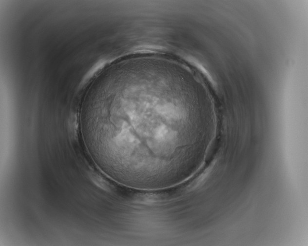 X0000114101355200910131314