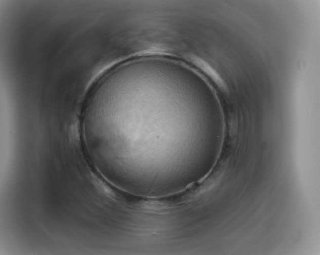 X0000114101356200910131314