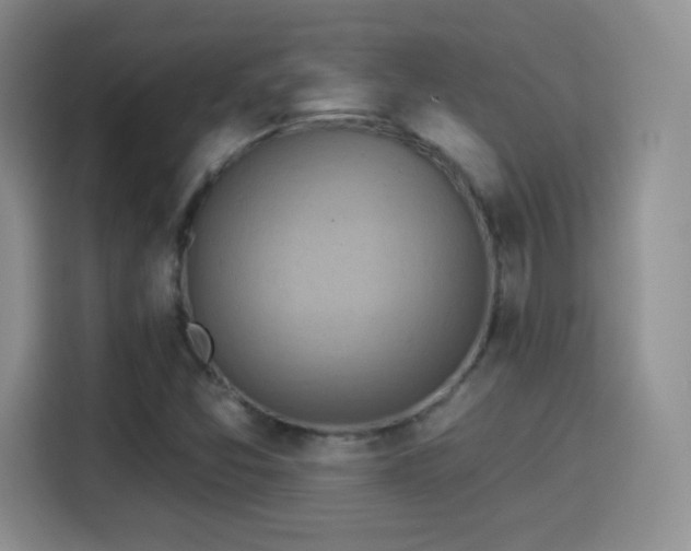 X0000114101357200910131314