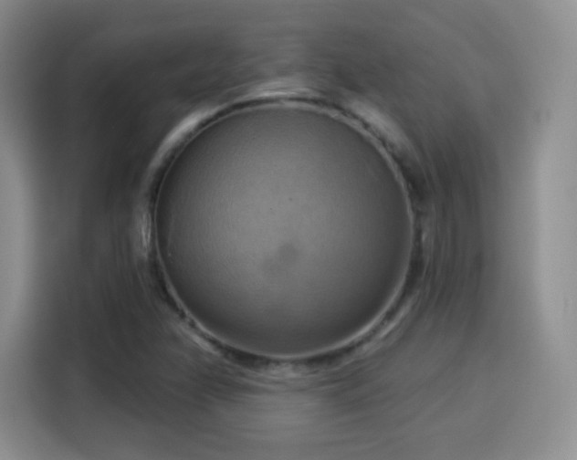 X0000114101358200910131314