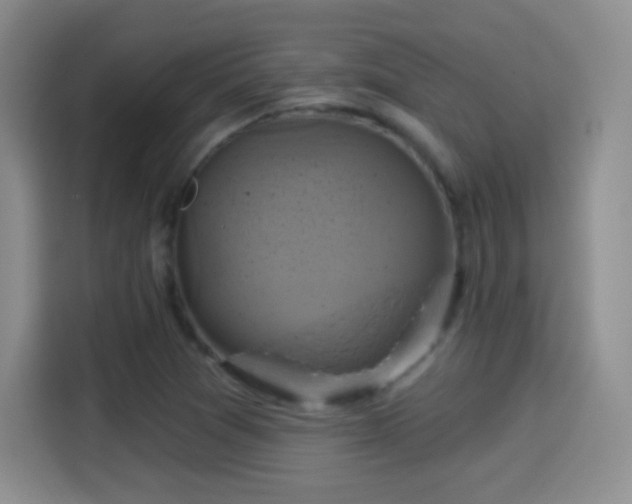 X0000114101361200910131314