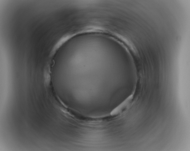 X0000114101363200910131314