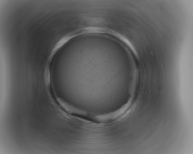 X0000114101365200910131314