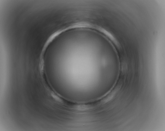 X0000114101366200910131314