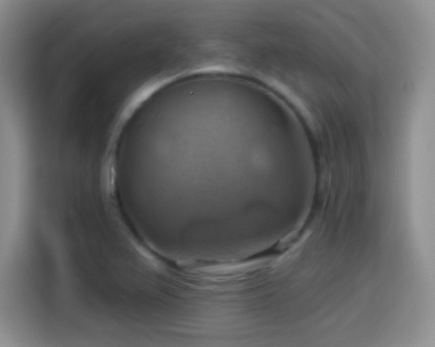 X0000114101367200910131314