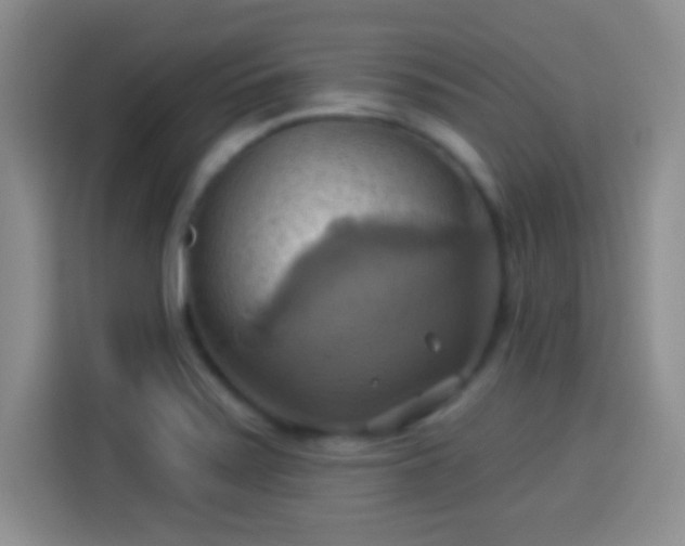 X0000114101371200910131314