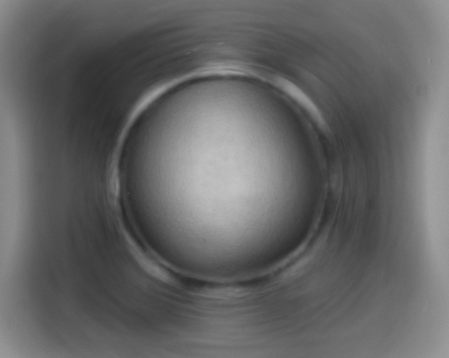 X0000114101372200910131314