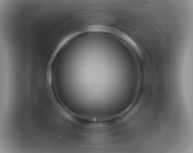 X0000114101376200910131313