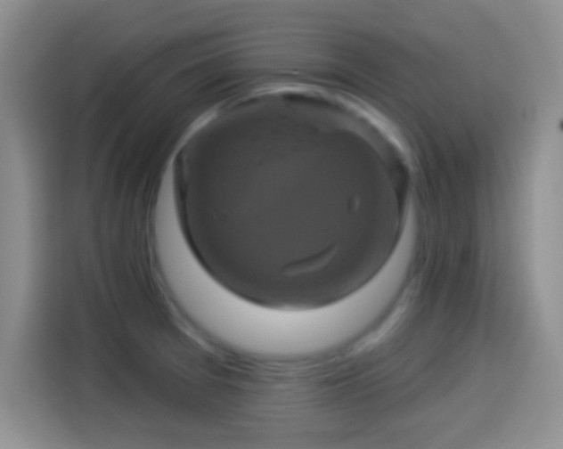 X0000114101377200910131313