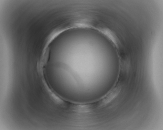 X0000114101381200910131313