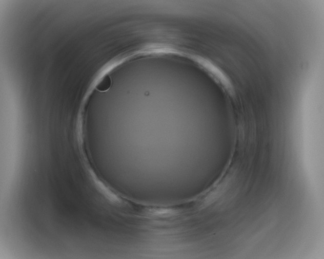 X0000114101382200910131313