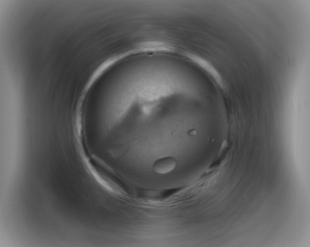 X0000114101383200910131313