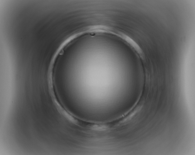 X0000114101384200910131313