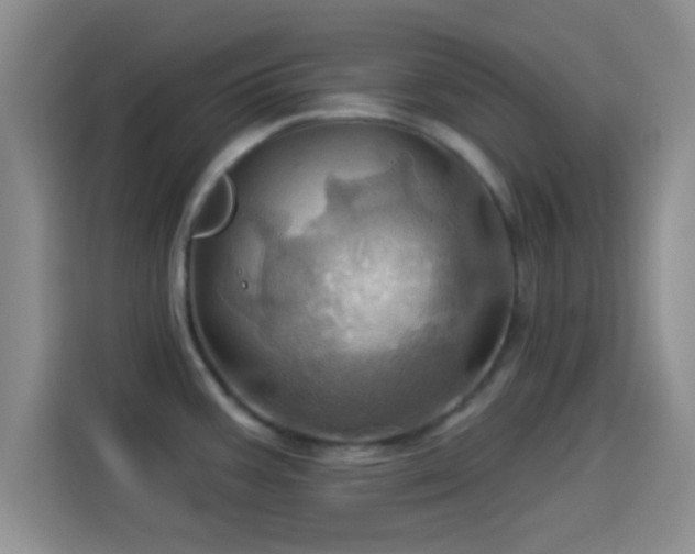 X0000114101387200910131313