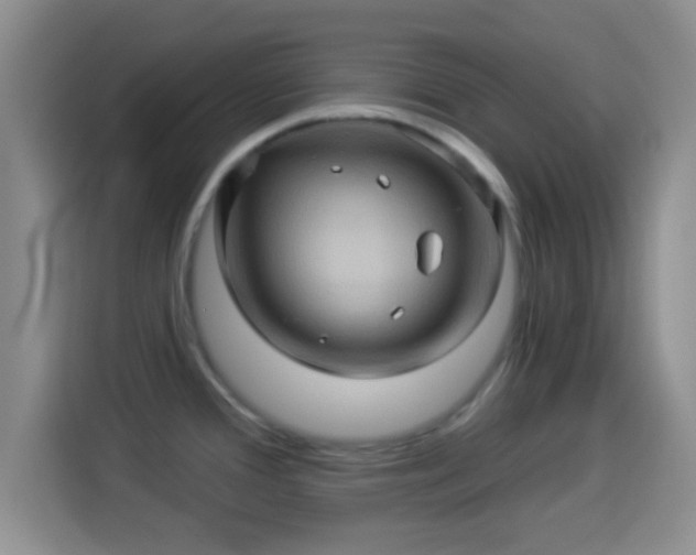 X0000114101388200910131313