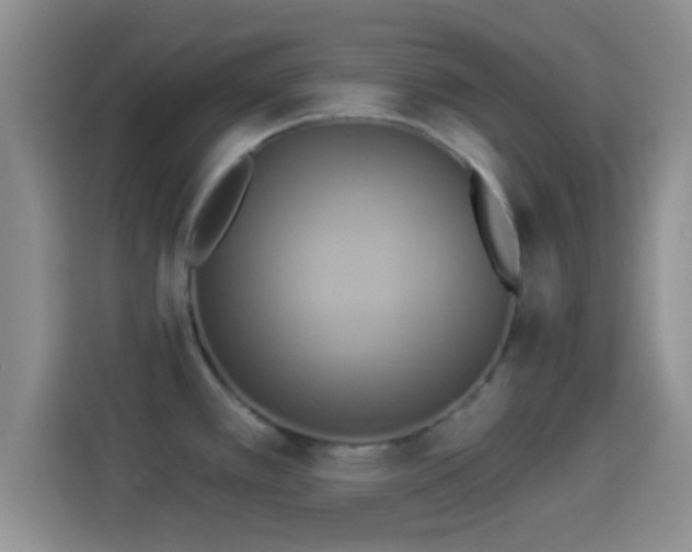 X0000114101389200910131313