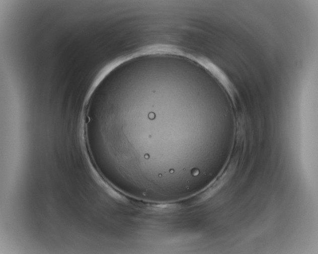 X0000114101390200910131313