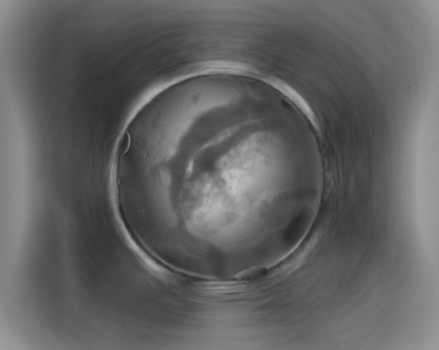 X0000114101391200910131313