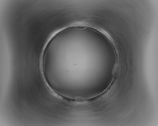 X0000114101392200910131313