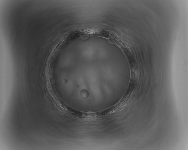 X0000114101393200910131313