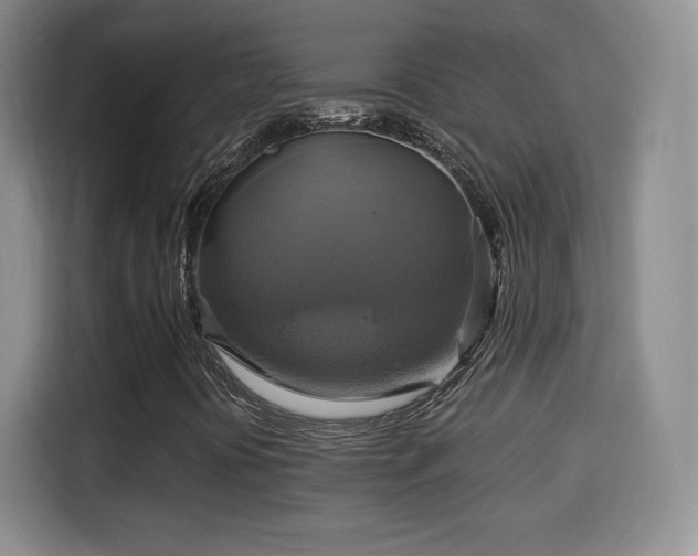 X0000114101394200910131313