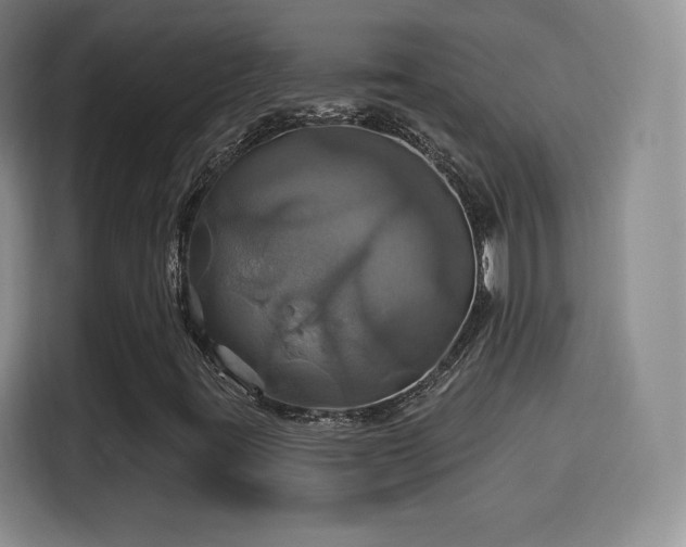 X0000114101395200910131313